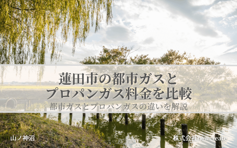 蓮田市の都市ガスとプロパンガス料金を比較