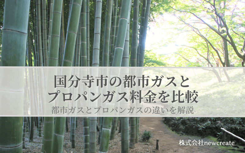 【国分寺市版】都市ガスとプロパンガスの料金を比較