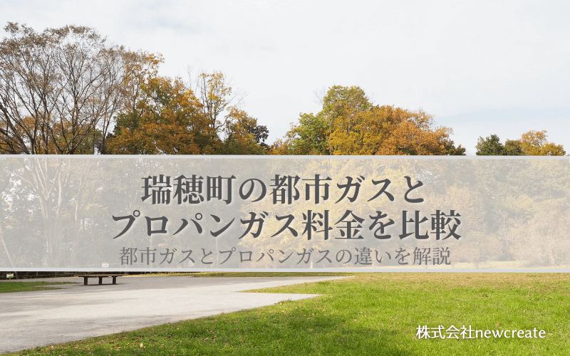 瑞穂町の都市ガスとプロパンガス料金を比較