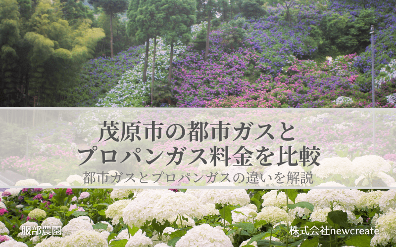 【茂原市】都市ガスとプロパンガスどちらが安いのか？両者の料金を比較