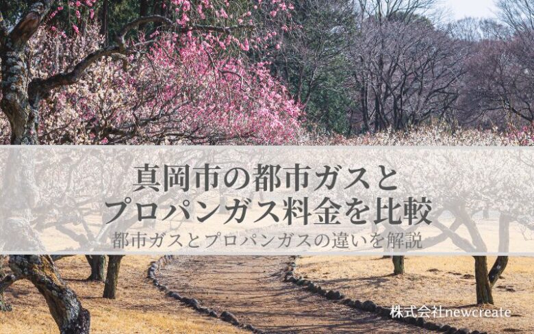 真岡市の都市ガスとプロパンガス料金を比較