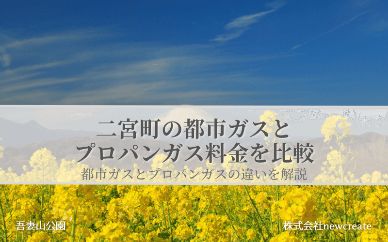 【二宮町】都市ガスとプロパンガスどちらが安いのか？両者の料金を比較