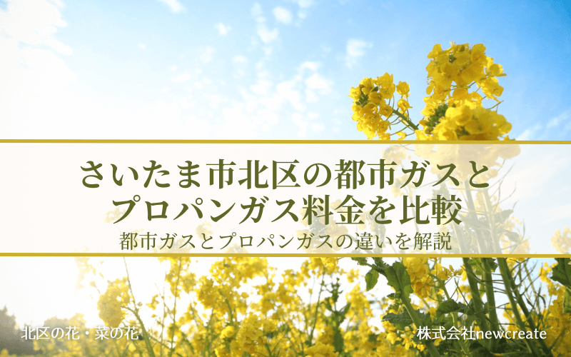 さいたま市北区の都市ガスとプロパンガス料金を比較