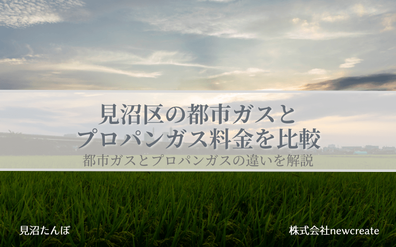 見沼区の都市ガスとプロパンガス料金を比較