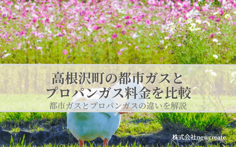 高根沢町の都市ガスとプロパンガス料金を比較