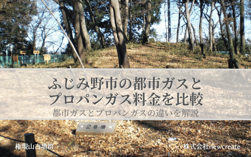 ふじみ野市の都市ガスとプロパンガス料金を比較