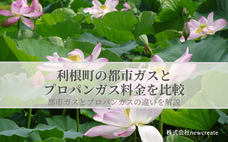 【利根町版】都市ガスとLPガスどちらが安いのか？両者の料金を比較