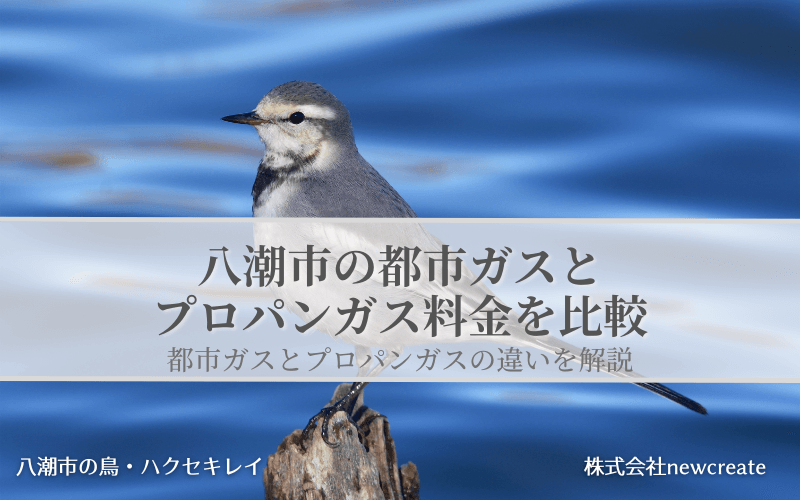 八潮市の都市ガスとプロパンガス料金を比較