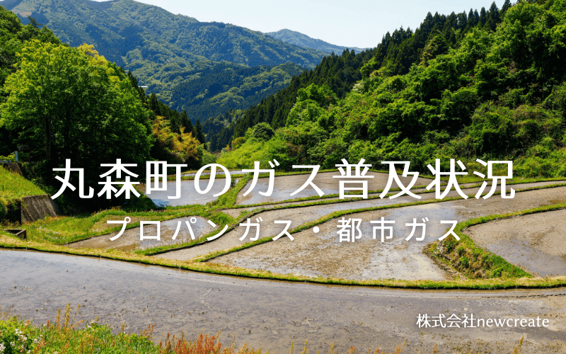 丸森町のプロパンガスと都市ガス普及状況