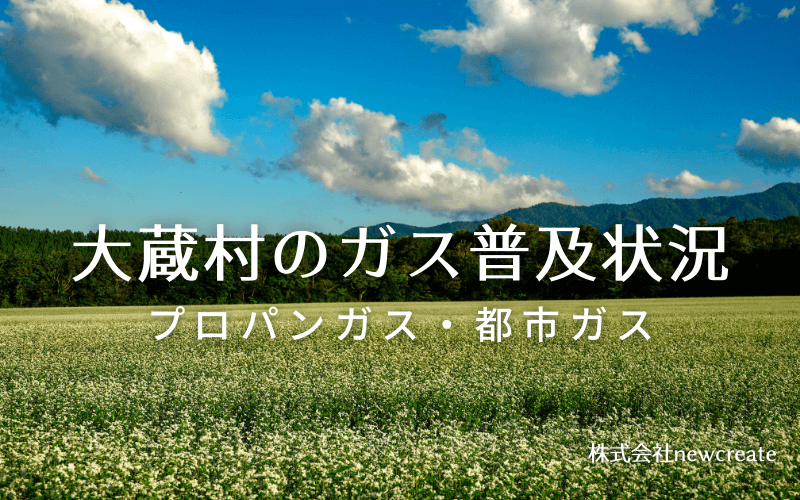 大蔵村のプロパンガスと都市ガス普及状況