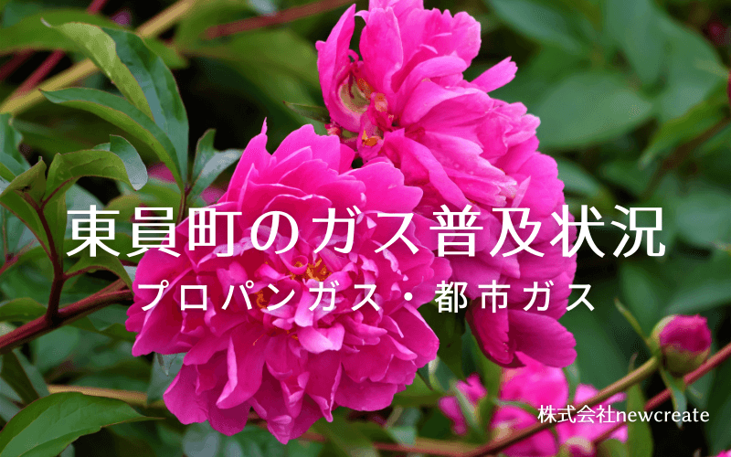 東員町のプロパンガスと都市ガス普及状況