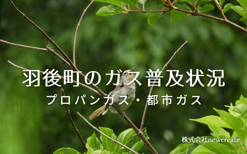 羽後町のプロパンガスと都市ガス普及状況