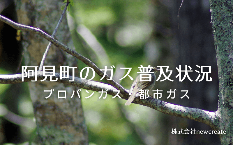 阿見町のプロパンガスと都市ガス普及状況