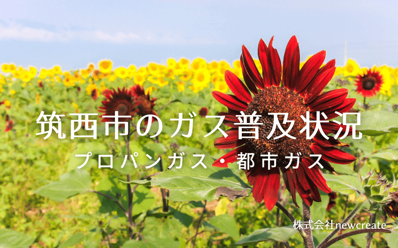 筑西市のプロパンガスと都市ガス普及状況