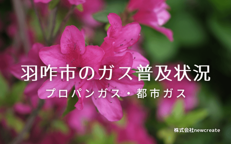 羽咋市のプロパンガスと都市ガス普及状況