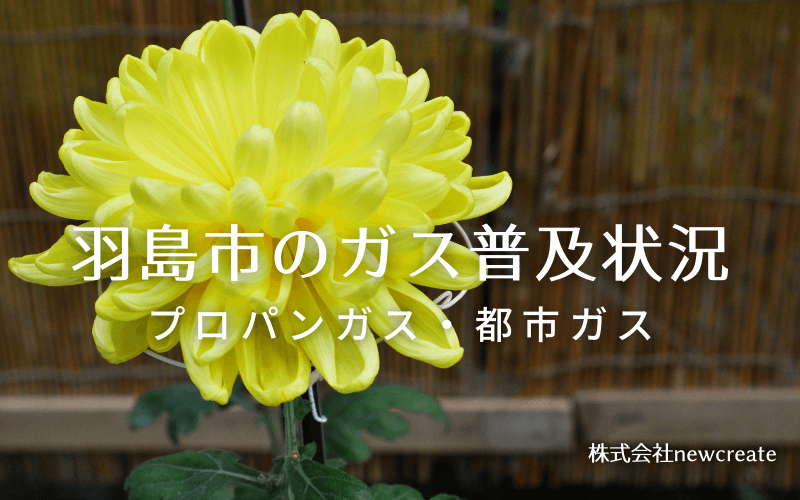 羽島市のプロパンガスと都市ガス普及状況