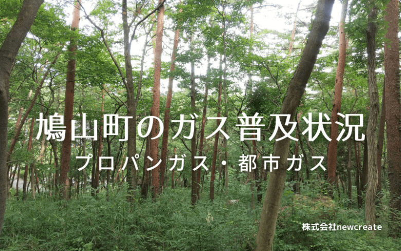 鳩山町のプロパンガスと都市ガス普及状況