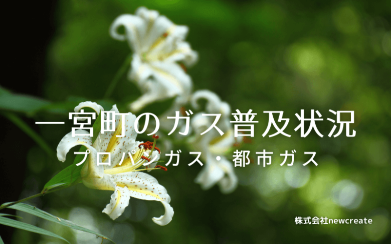 一宮町のプロパンガスと都市ガス普及状況