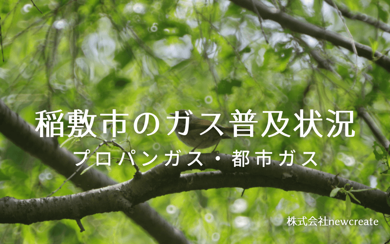 稲敷市のプロパンガスと都市ガス普及状況