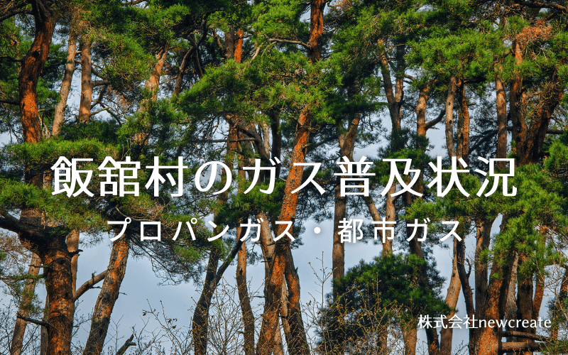 飯舘村のプロパンガスと都市ガス普及状況