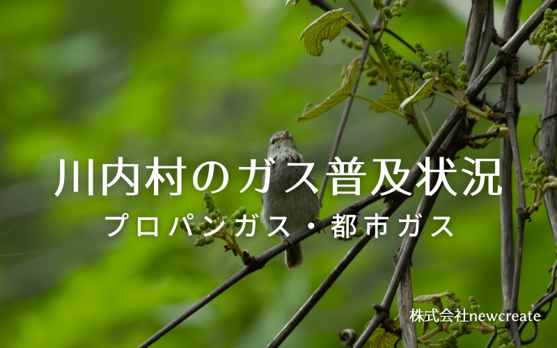 川内村のプロパンガスと都市ガス普及状況