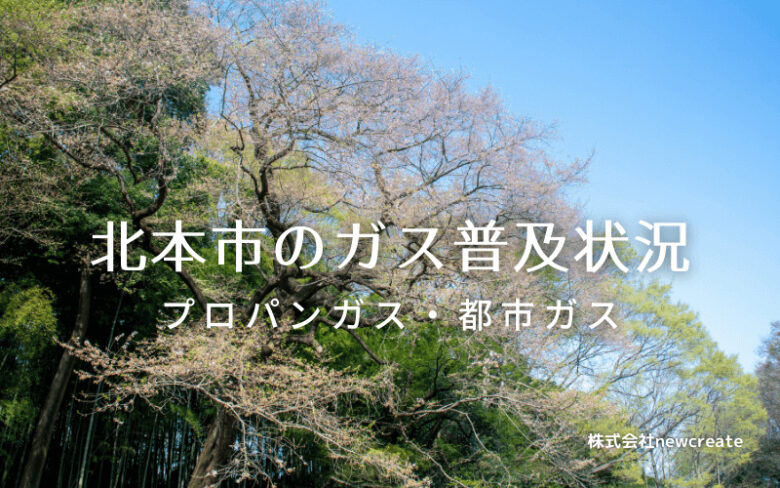 北本市のプロパンガスと都市ガス普及状況