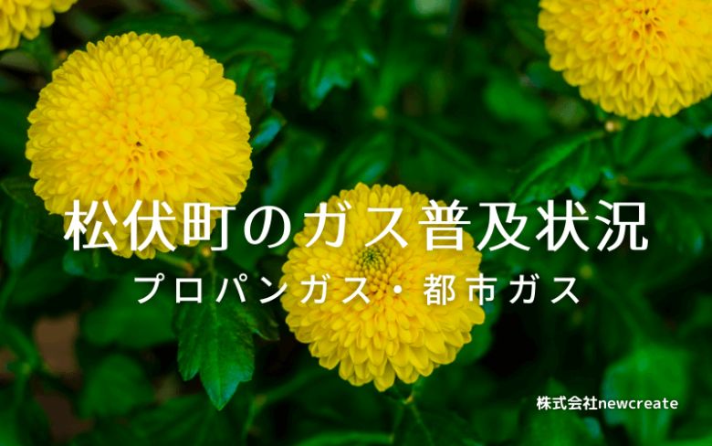 松伏町のプロパンガスと都市ガス普及状況