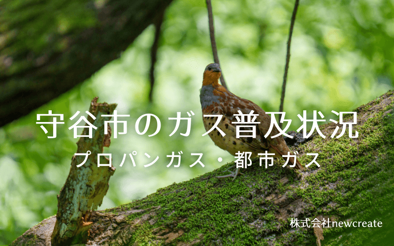 守谷市のプロパンガスと都市ガス普及状況