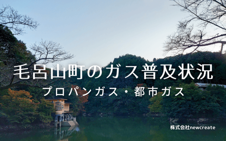 毛呂山町のプロパンガスと都市ガス普及状況