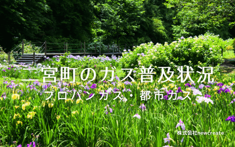 二宮町のプロパンガスと都市ガス普及状況