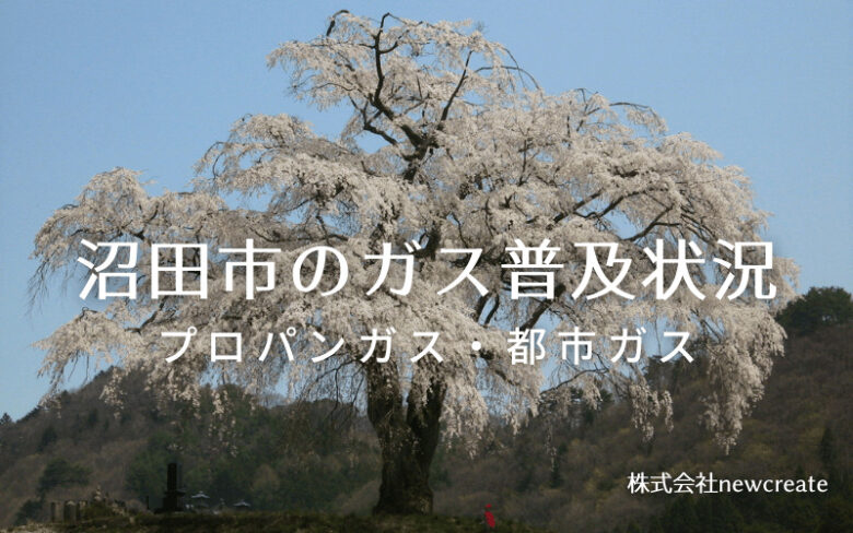 沼田市のプロパンガスと都市ガス普及状況
