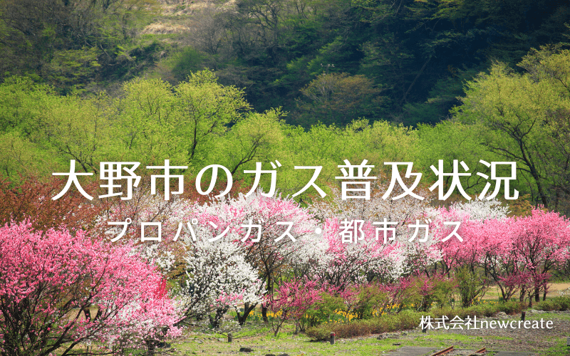 大野市のプロパンガスと都市ガス普及状況