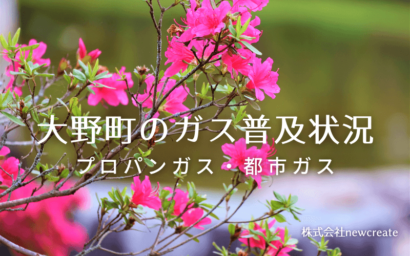 大野町のプロパンガスと都市ガス普及状況
