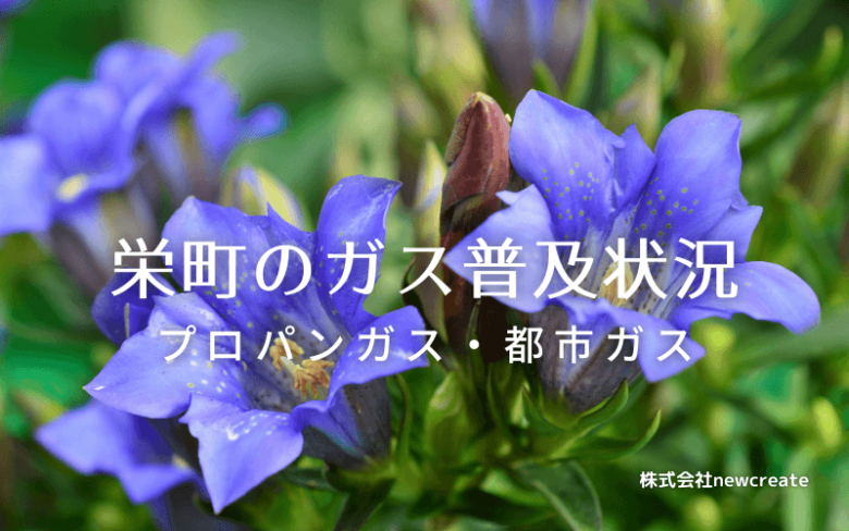 栄町のプロパンガスと都市ガス普及状況