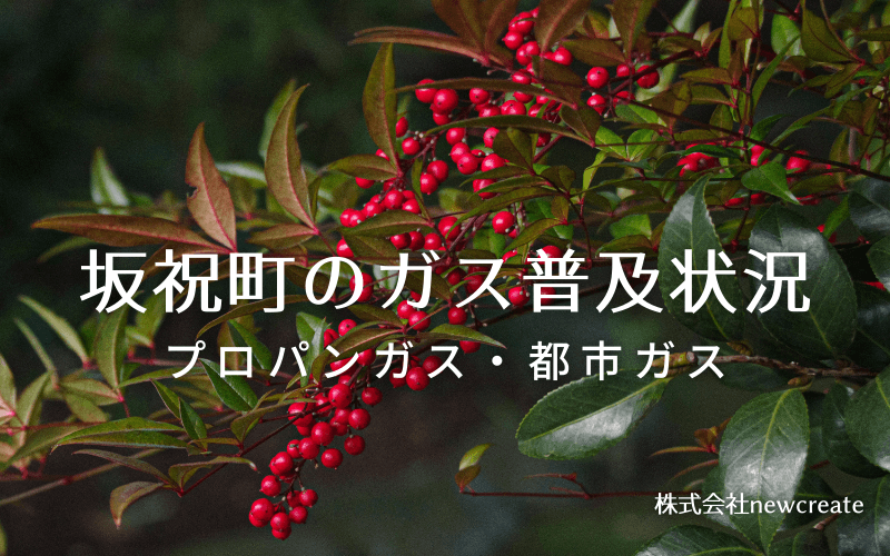 坂祝町のプロパンガスと都市ガス普及状況