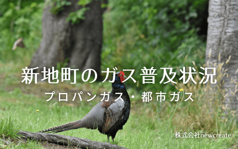 新地町のプロパンガスと都市ガス普及状況