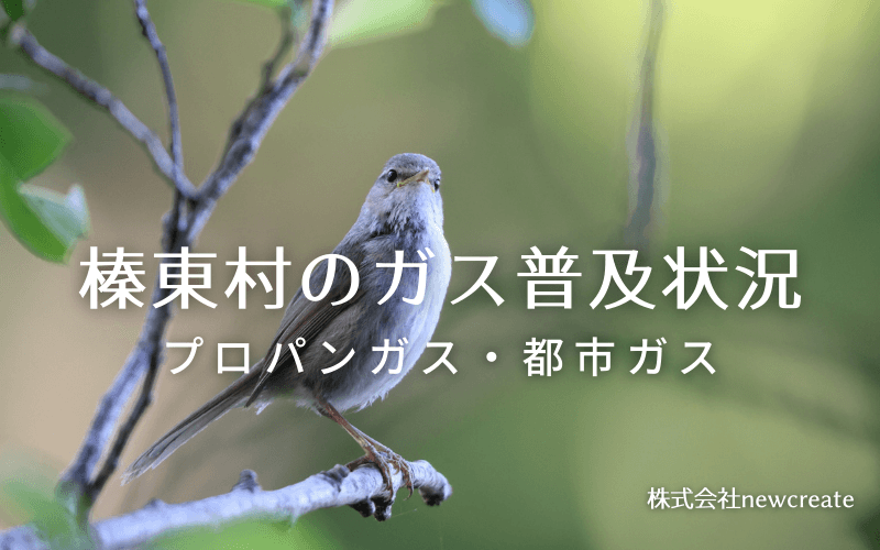 榛東村のプロパンガスと都市ガス普及状況