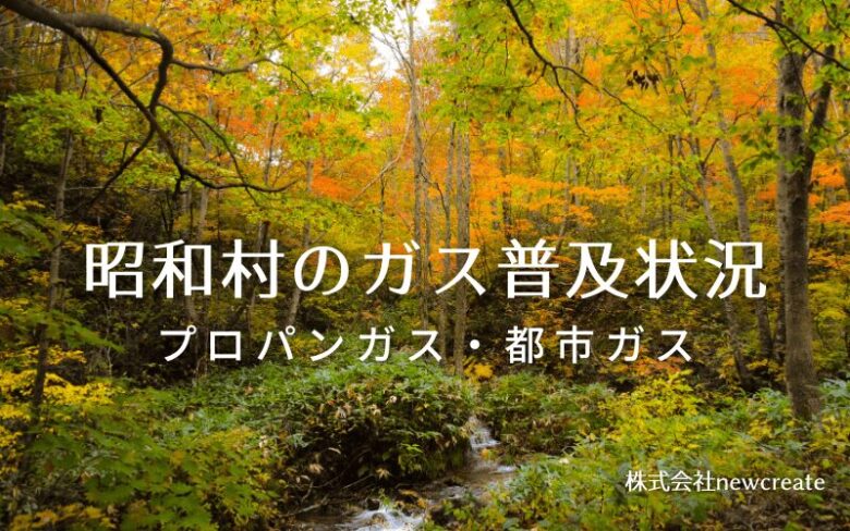 福島県昭和村のプロパンガスと都市ガス普及状況