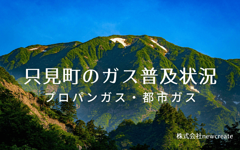 只見町のプロパンガスと都市ガス普及状況