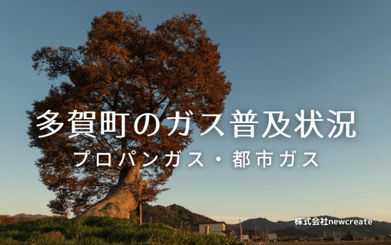 多賀町のプロパンガスと都市ガス普及状況