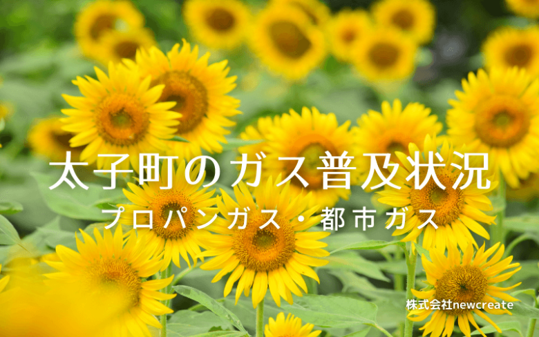 太子町のプロパンガスと都市ガス普及状況