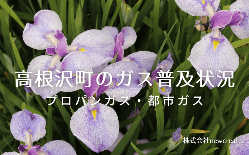 高根沢町のプロパンガスと都市ガス普及状況