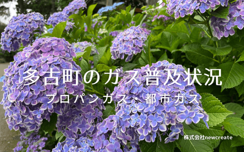 多古町のプロパンガスと都市ガス普及状況