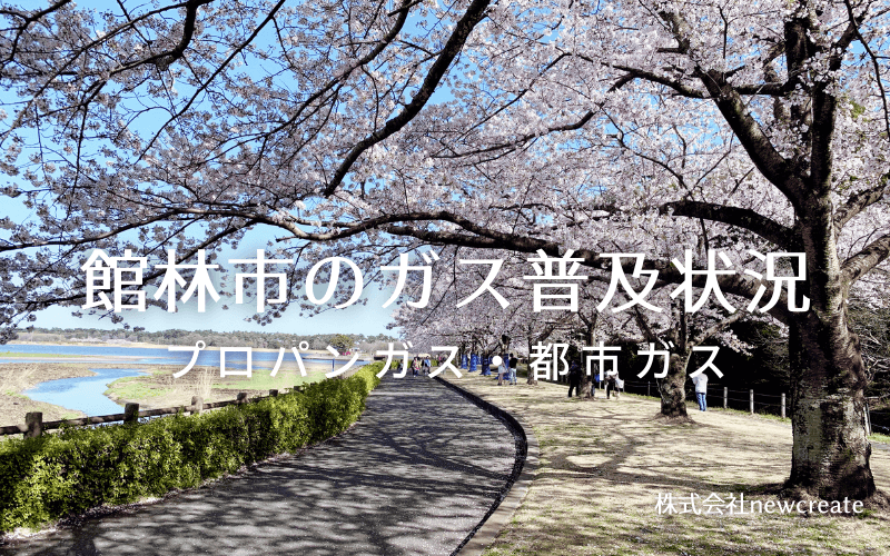 館林市のプロパンガスと都市ガス普及状況