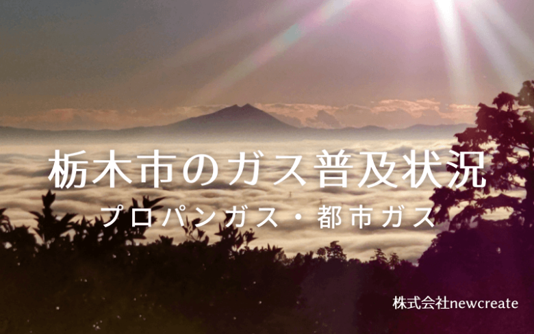 栃木市のプロパンガスと都市ガス普及状況