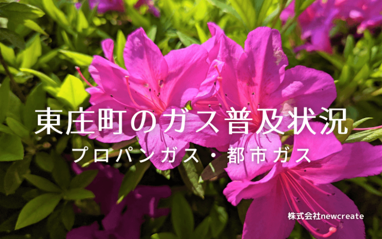 東庄町のプロパンガスと都市ガス普及状況