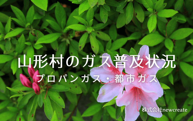 山形村のプロパンガスと都市ガス普及状況
