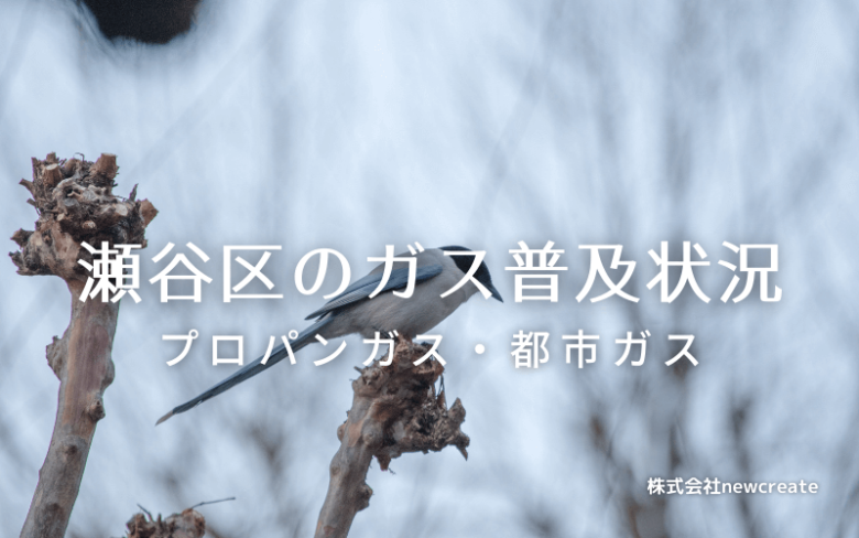 瀬谷区のプロパンガスと都市ガス普及状況