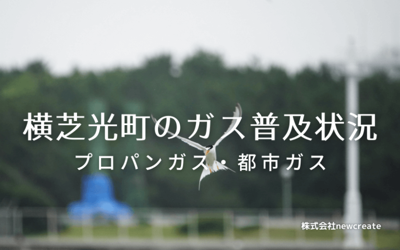 横芝光町のプロパンガスと都市ガス普及状況