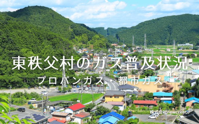 東秩父村のプロパンガスと都市ガス普及状況